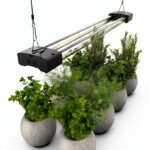 DYMOND BoostGro LED Grow Light Full Spectrum 5000K Daylight Red 2FT-0